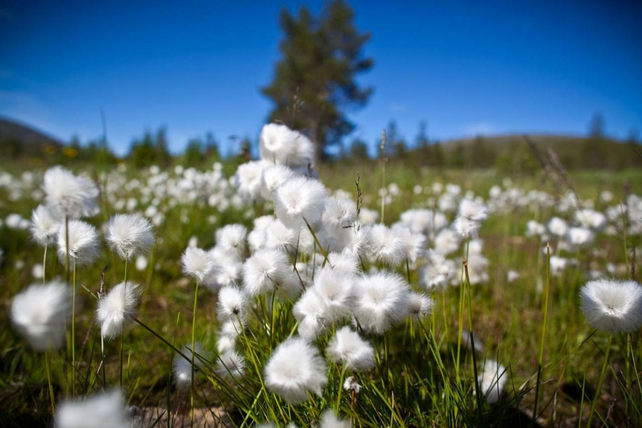 Lapland Hotels クオピオ エクステリア 写真